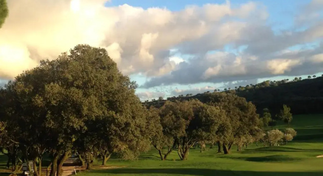 Студия Golf & Résidence de Nîmes Vacquerolles