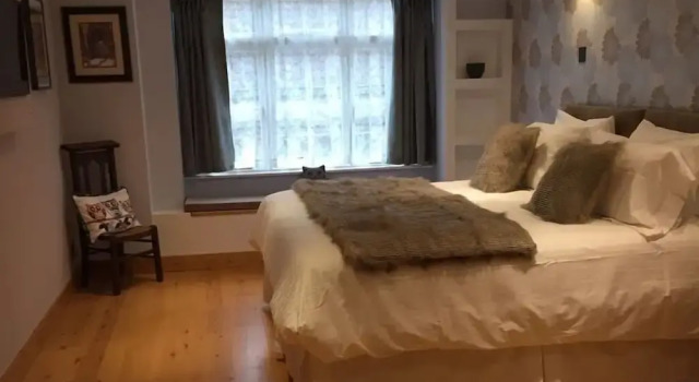 Номер Standard 8 Owls B&B