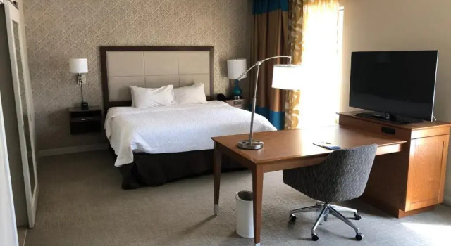 Двухместный номер Hampton Inn & Suites by Hilton Tampa Busch Gardens Area