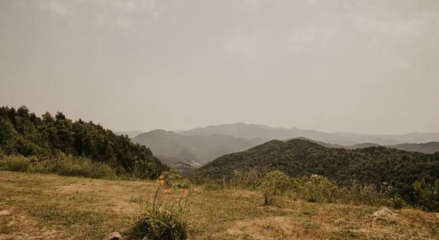 Апартаменты Subirana Rural