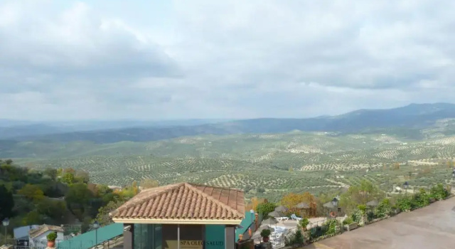 Двухместный номер Superior Hotel & Spa Sierra de Cazorla