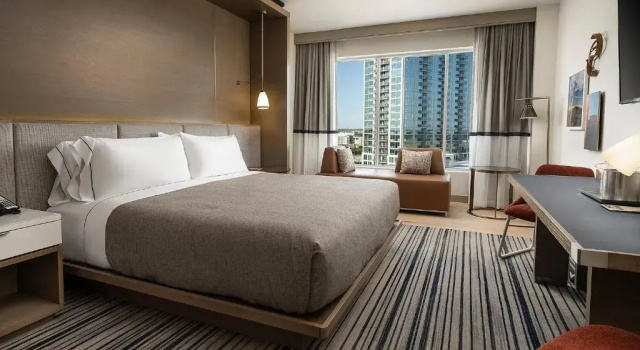 Одноместный номер Standard Canopy By Hilton Dallas Frisco Station