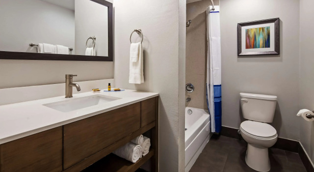 Двухместный номер Standard Best Western Plus Downtown North