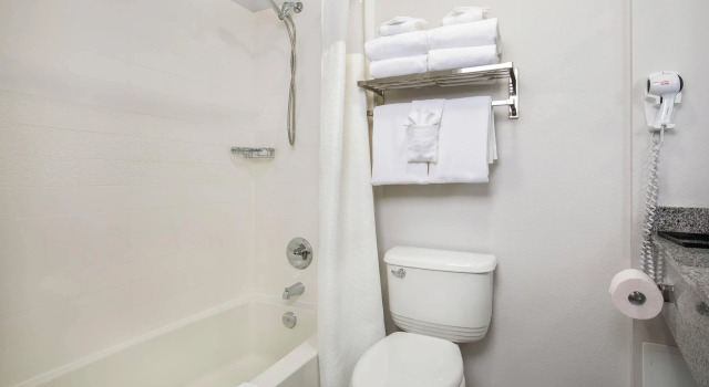 Четырёхместный номер Standard Quality Inn & Suites