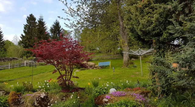 Ferienwohnung Dersch