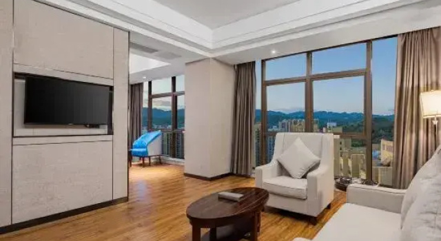 Люкс Executive V City Hotel