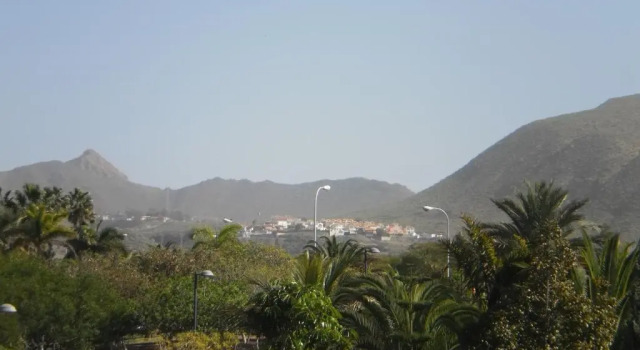 Студия whala!tenerife
