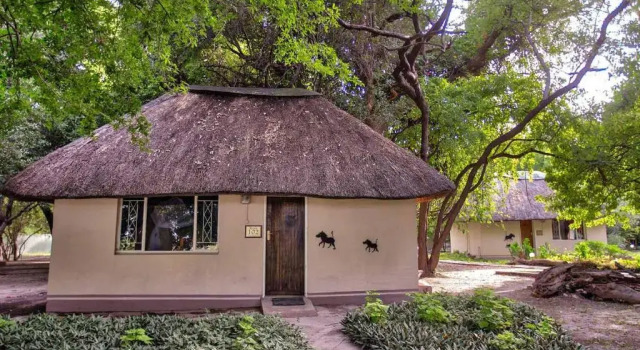 Шале Island Safari Lodge