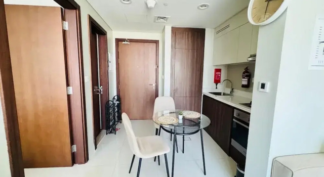 1BHK in Business Bay. Canal View