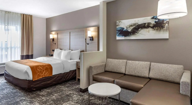 Двухместный люкс Comfort Suites Anderson-Clemson