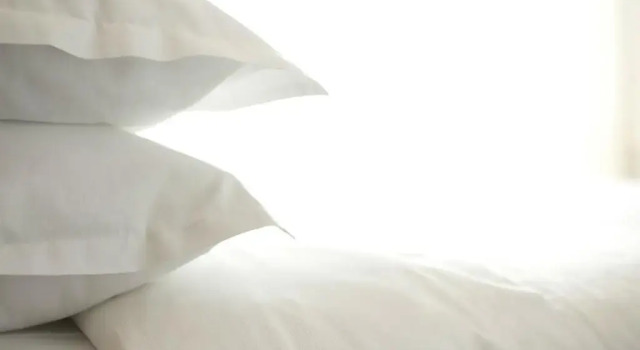 Двухместный номер Superior Sheraton Offenbach Hotel