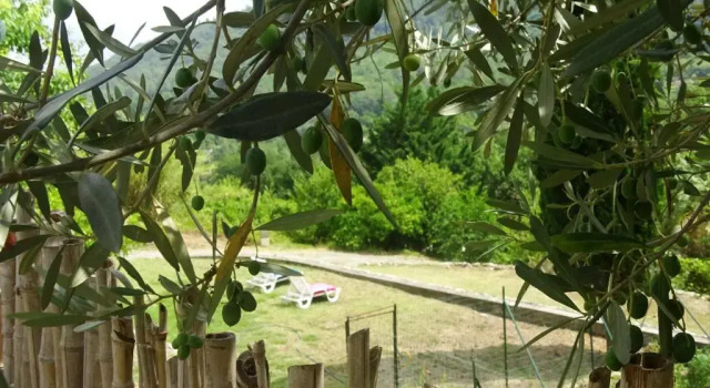 LUVA d'Azur, Rez de villa LE RIOU - LE VALLON