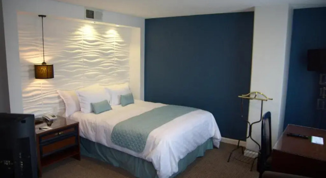 Двухместный номер Standard Hotel Presidente