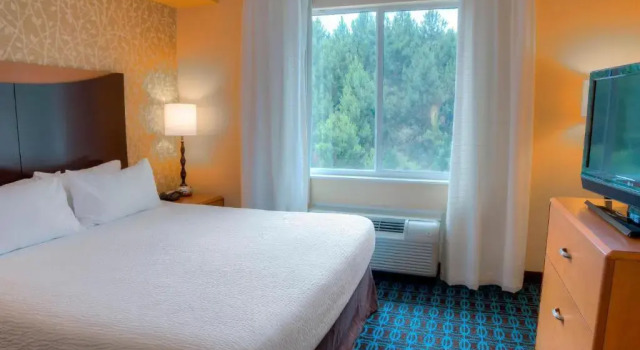 Студия Fairfield Inn & Suites by Marriott Mobile Daphne/Eastern Shore