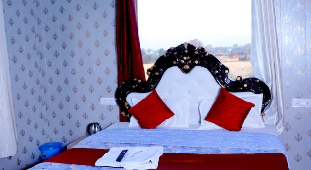 Номер Executive Hotel Krishna Manu Palace