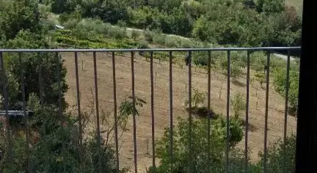 Номер Standard La Ripa