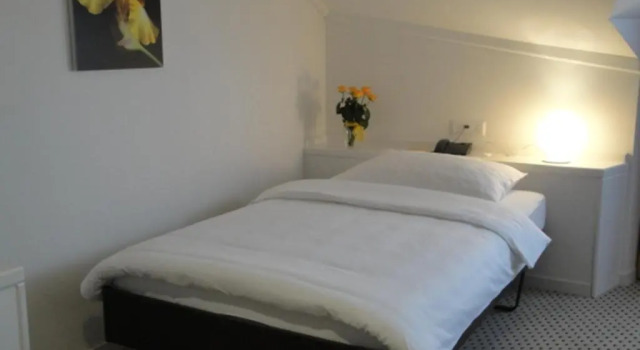 Одноместный номер Superior Hotel Schwanen Wil