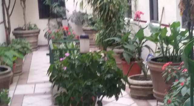 Hotel Ambar, Забронировать Отель Отели Мехико 3 звезды, рядом с Салто дел Агуа, 3*