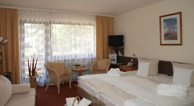 Двухместный номер Deluxe с балконом Hotel Schwarzwälder Hof