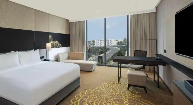 Двухместный номер Deluxe Hilton Bengaluru Embassy Manyata Business Park