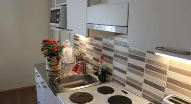 Hotel Aakenus Holiday Home Kokki