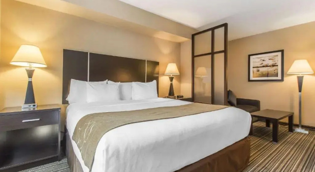 Двухместный номер Comfort Suites Downtown