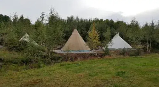 Bjørkeskogen, Reservar Casa de hóspedes Froland 