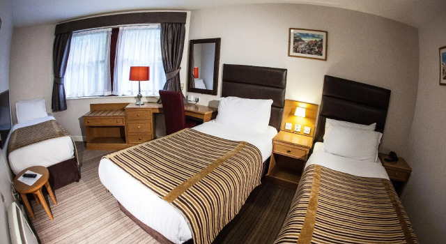 Трёхместный номер Standard Dubrovnik Hotel