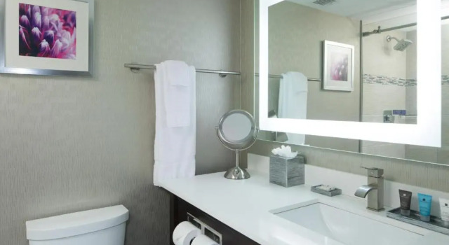 Номер Standard Crowne Plaza Chicago SW - Burr Ridge by IHG
