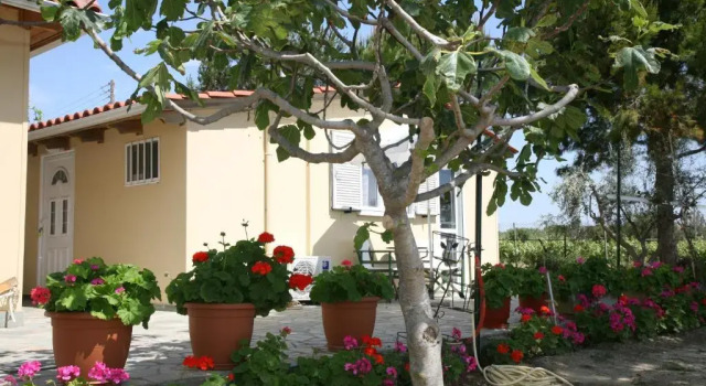Студия Deluxe Villa Carina