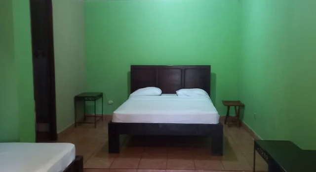 Четырёхместный номер Standard House of the Macaws