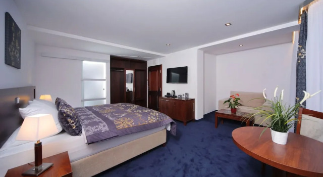 Номер Superior Hotel Central 1920