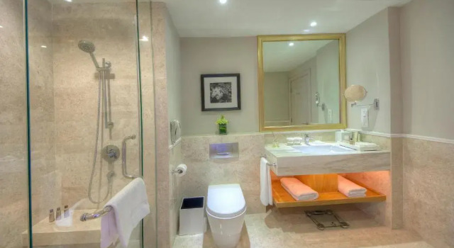 Номер Deluxe The Chateau Spa & Wellness Resort