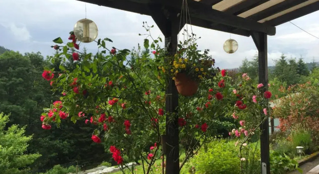 Pension Hildegund, Reserva ahora Hotel Hoteles en Baden-Wurtemberg con aparcamiento, Aparcamiento