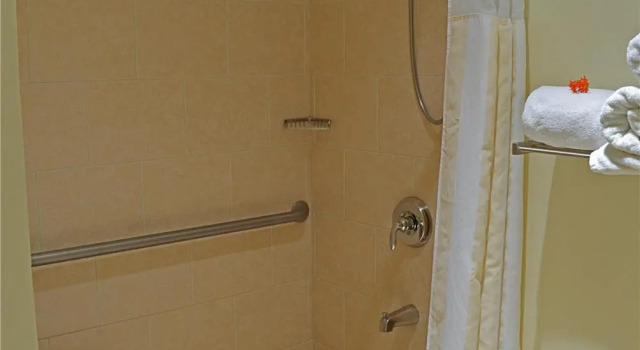 Номер Standard Hilton Garden Inn Guanacaste Airport