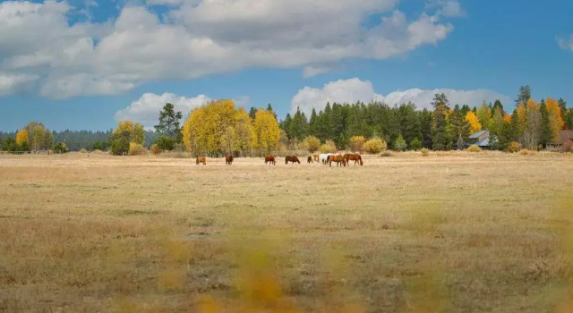 Wallowa 2, Rezerwuj Hotel Sunriver Mount Bachelor