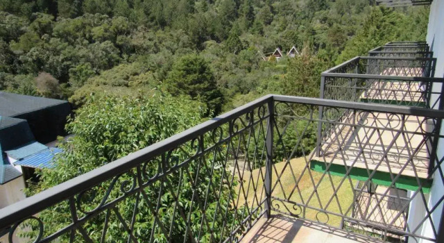Номер Superior Golden Forest Pousada