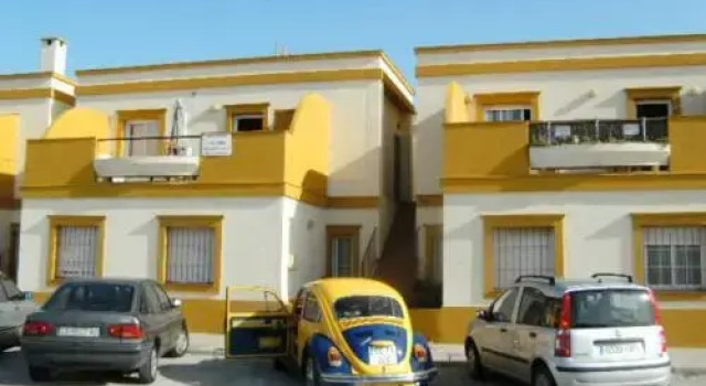 Estudio Tortuga I