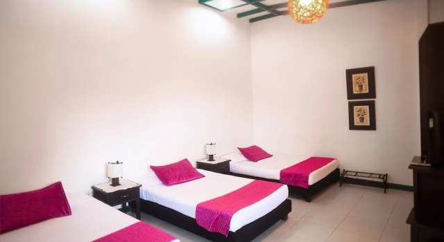 Четырёхместный номер Standard Hotel Campestre La Tata