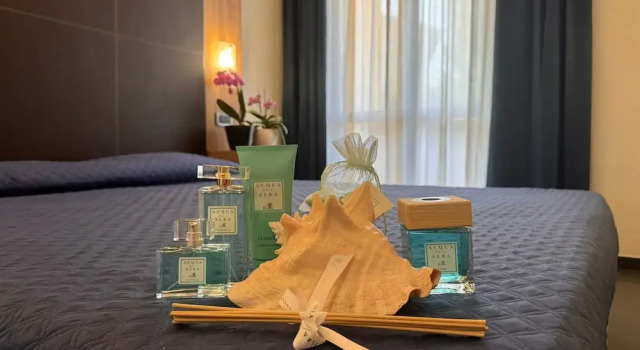 Номер Standard Hotel Fontalleccio