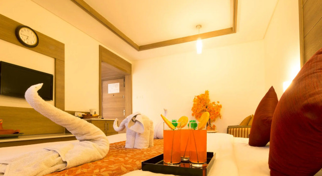 Номер Deluxe Clinton Park Inn