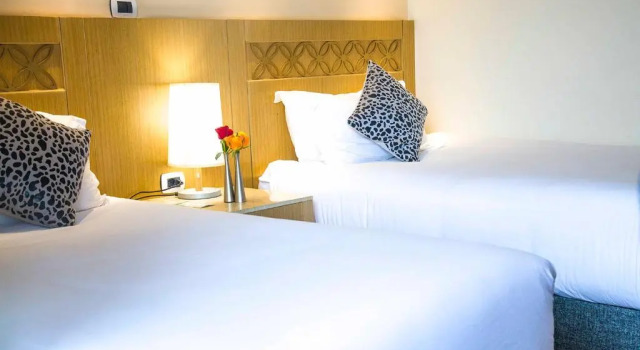 Двухместный номер Standard с видом на город Vamos Addis Hotel
