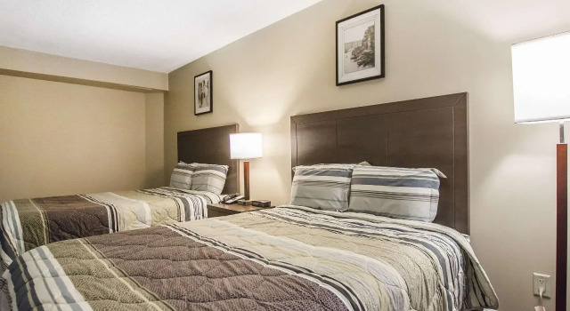 Четырёхместный номер Standard Econolodge Miramichi