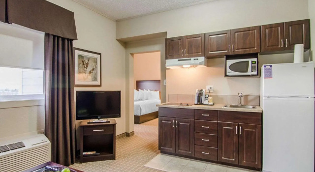 Двухместный люкс Chateau All Suites Hotel