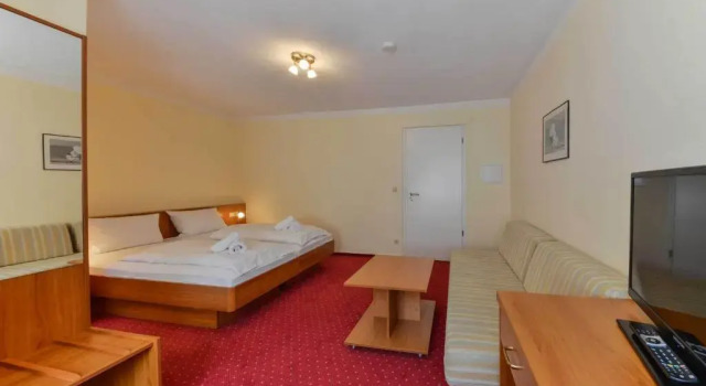 Люкс Hotel Hessischer Hof