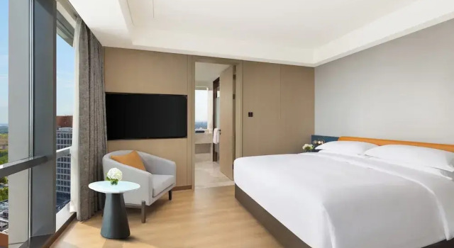 Двухместный номер Standard The Perennial Tianjin, A Jdv By Hyatt Hotel
