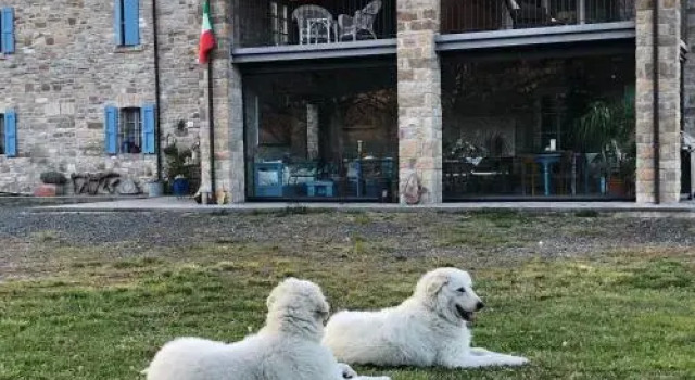 La Locanda nel vento