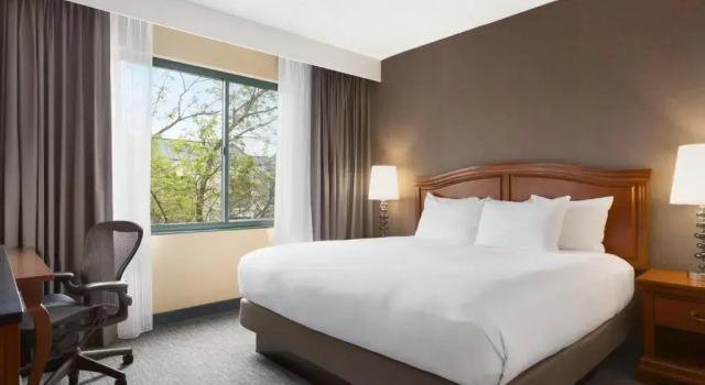 Люкс DoubleTree by Hilton Hotel Detroit Novi