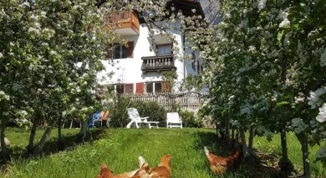 Ferienwohnung Lafreid Algund