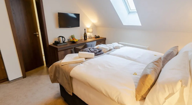 Номер Standard Wellness Hotel Demänová